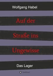 Cover von Auf der Straße ins Ungewisse