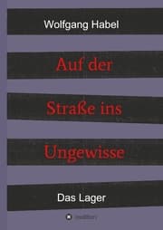 Cover von Auf der Straße ins Ungewisse