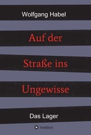 Cover von Auf der Straße ins Ungewisse