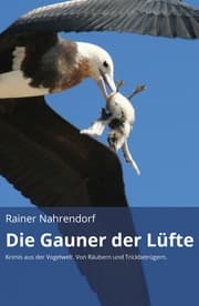 Cover von Die Gauner der Lüfte (gekürzte Version)