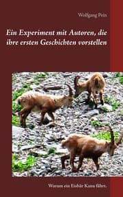 Cover von Ein Experiment mit Autoren, die ihre ersten Geschichten vorstellen