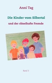 Cover von Die Kinder vom Silbertal und der rätselhafte Fremde