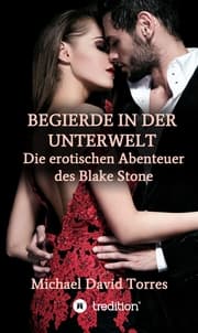Cover von Begierde in der Unterwelt - Die erotischen Abenteuer des Blake Stone