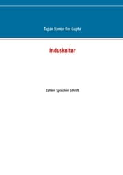 Cover von Induskultur