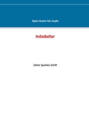 Cover von Induskultur