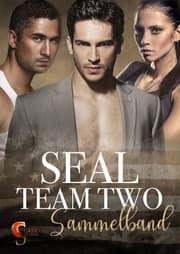 Cover von Seal Team Two Sammelband