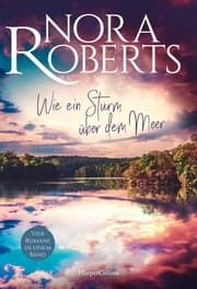 Cover von Wie ein Sturm über dem Meer