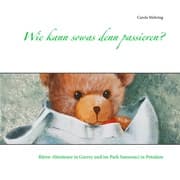 Cover von Wie kann sowas denn passieren?