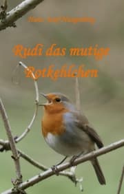 Cover von Rudi das mutige Rotkehlchen