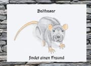 Cover von Balthasar findet einen Freund