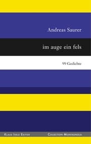 Cover von im auge ein fels