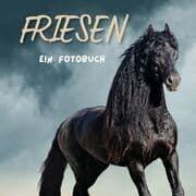 Cover von Friesen