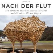Cover von Nach der Flut