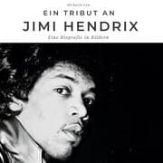 Cover von Ein Tribut an Jimi Hendrix