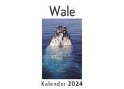 Cover von Wale (Wandkalender 2024, Kalender DIN A4 quer, Monatskalender im Querformat mit Kalendarium, Das perfekte Geschenk)