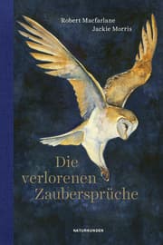 Cover von Die verlorenen Zaubersprüche