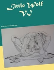Cover von Little Wolf VI