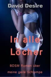 Cover von In alle Löcher