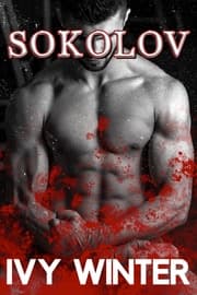Cover von Sokolov: Die komplette Serie
