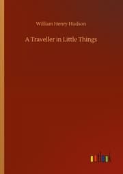 Cover von A Traveller in Little Things