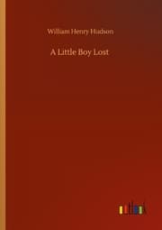 Cover von A Little Boy Lost