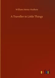 Cover von A Traveller in Little Things
