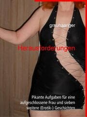Cover von Herausforderungen