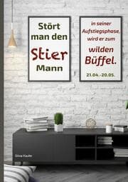 Cover von Stört man den Stier Mann in seiner Aufstiegsphase, wird er zum wilden Büffel