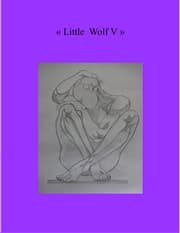 Cover von Little Wolf V