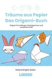 Cover von Träume aus Papier - Das Origami-Buch