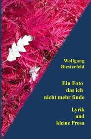 Cover von Ein Foto das ich nicht mehr finde
