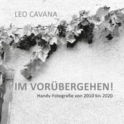 Cover von Im Vorübergehen