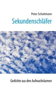 Cover von Sekundenschläfer