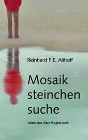 Cover von Mosaiksteinchensuche