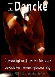 Cover von Überwältigt von (m)einem Miststück