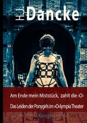 Cover von Am Ende mein Miststück, zahlt die >O<