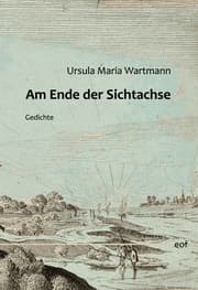 Cover von Am Ende der Sichtachse
