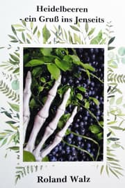 Cover von Heidelbeeren - ein Gruß ins Jenseits