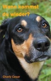 Cover von Wann kommst du wieder?