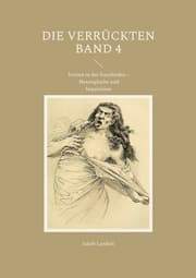 Cover von Die Verrückten Band 4