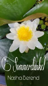 Cover von Sommerdunkel