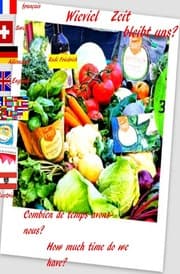 Cover von Wieviel Zeit bleibt uns? Combien de temps avons-nous? How much time do we have? D F UK