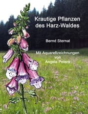 Cover von Krautige Pflanzen des Harz-Waldes