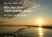 Cover von Wie eine Diva räkelt sich der Priel