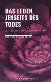 Cover von Das Leben jenseits des Todes