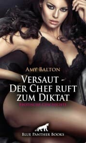 Cover von Versaut - Der Chef ruft zum Diktat , Erotische Geschichte