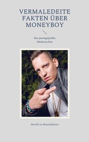 Cover von Vermaledeite Fakten über Moneyboy