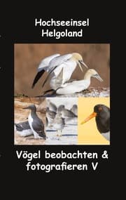 Cover von Hochseeinsel Helgoland