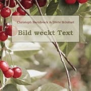 Cover von Bild weckt Text