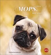 Cover von Mops 2024
